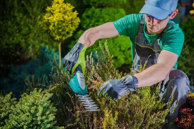 landscaping services Stoutsville